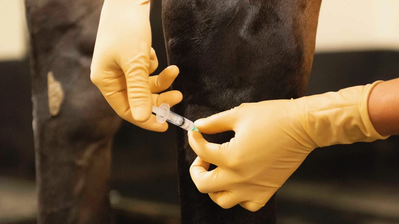 intra-articular injectables for acute-phase intra-articular injectables for acute-phase