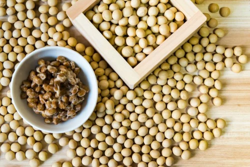 What Is Nattokinase? What Is Nattokinase?