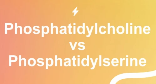 Phosphatidylcholine Vs Phosphatidylserine Phosphatidylcholine Vs Phosphatidylserine